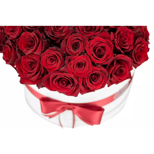 Box červených růží